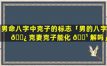 男命八字中克子的标志「男的八字 🌿 克妻克子能化 🌹 解吗」